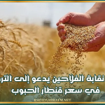 رئيس نقابة الفلاحين يدعو إلى الترفيع في سعر قنطار الحبوب