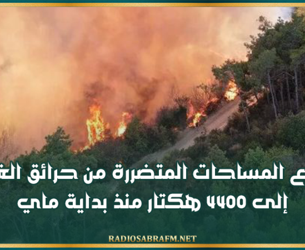 ارتفاع المساحات المتضررة من حرائق الغابات إلى 4400 هكتار منذ بداية ماي