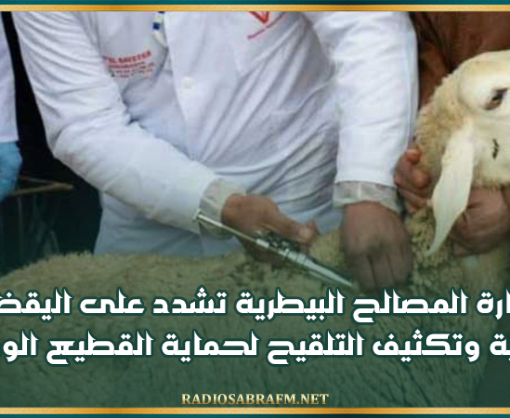 إدارة المصالح البيطرية تشدد على اليقظة الصحية وتكثيف التلقيح لحماية القطيع الوطني