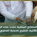 إدارة المصالح البيطرية تشدد على اليقظة الصحية وتكثيف التلقيح لحماية القطيع الوطني