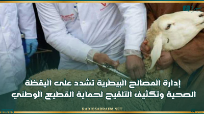 إدارة المصالح البيطرية تشدد على اليقظة الصحية وتكثيف التلقيح لحماية القطيع الوطني