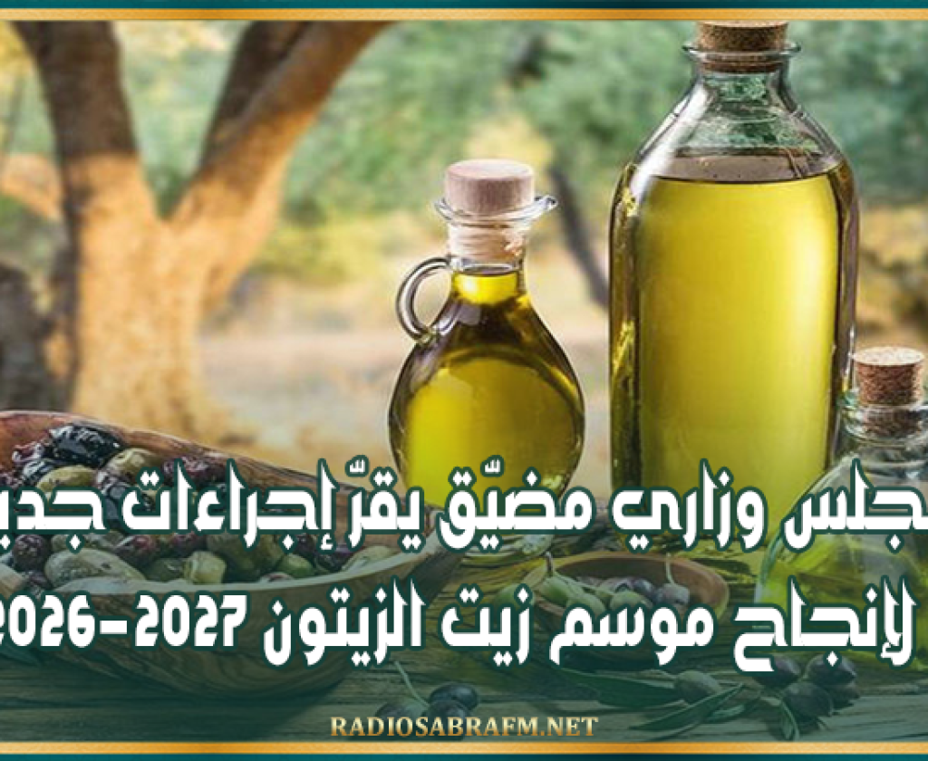 مجلس وزاري مضيّق يقرّ إجراءات جديدة لإنجاح موسم زيت الزيتون 2026-2027