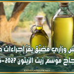 مجلس وزاري مضيّق يقرّ إجراءات جديدة لإنجاح موسم زيت الزيتون 2026-2027