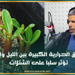 المهندس الفلاحي رمضان الخليفي: الفوارق الحرارية الكبيرة بين الليل والنهار تؤثر سلبا على الشتلات