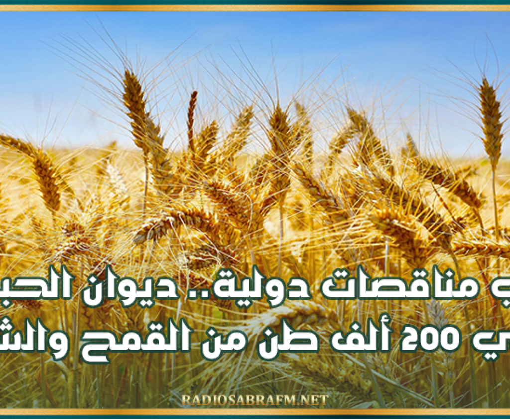 في مناقصات دولية.. ديوان الحبوب يقتني 200 ألف طن من القمح والشعير