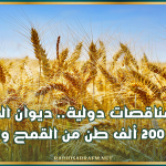 في مناقصات دولية.. ديوان الحبوب يقتني 200 ألف طن من القمح والشعير