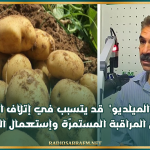 رئيس إتحاد الفلاحة بالقيروان: مرض 'الميلديو' قد يتسبب في إتلاف الصابة ولا بد من المراقبة المستمرّة وإستعمال المبيدات