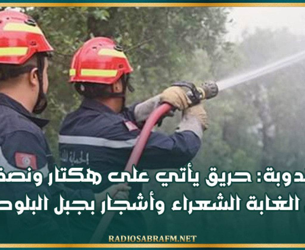 جندوبة: حريق يأتي على هكتار ونصف من الغابة الشعراء وأشجار بجبل البلوط