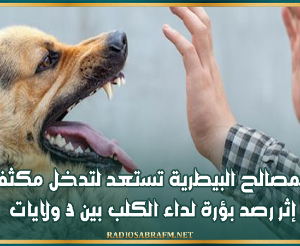 المصالح البيطرية تستعد لتدخل مكثف إثر رصد بؤرة لداء الكلب بين 3 ولايات