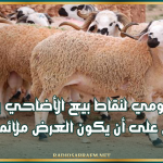 ديوان الماشية: تزويد يومي لنقاط بيع الأضاحي بالميزان ونحرص على أن يكون العرض ملائما للطلب