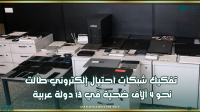 تفكيك شبكات احتيال إلكتروني طالت نحو 4 آلاف ضحية في 13 دولة عربية