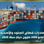 قيمة صادرات قطاع الجلود والأحذية بلغت نحو 2100 مليون دينار سنة 2025
