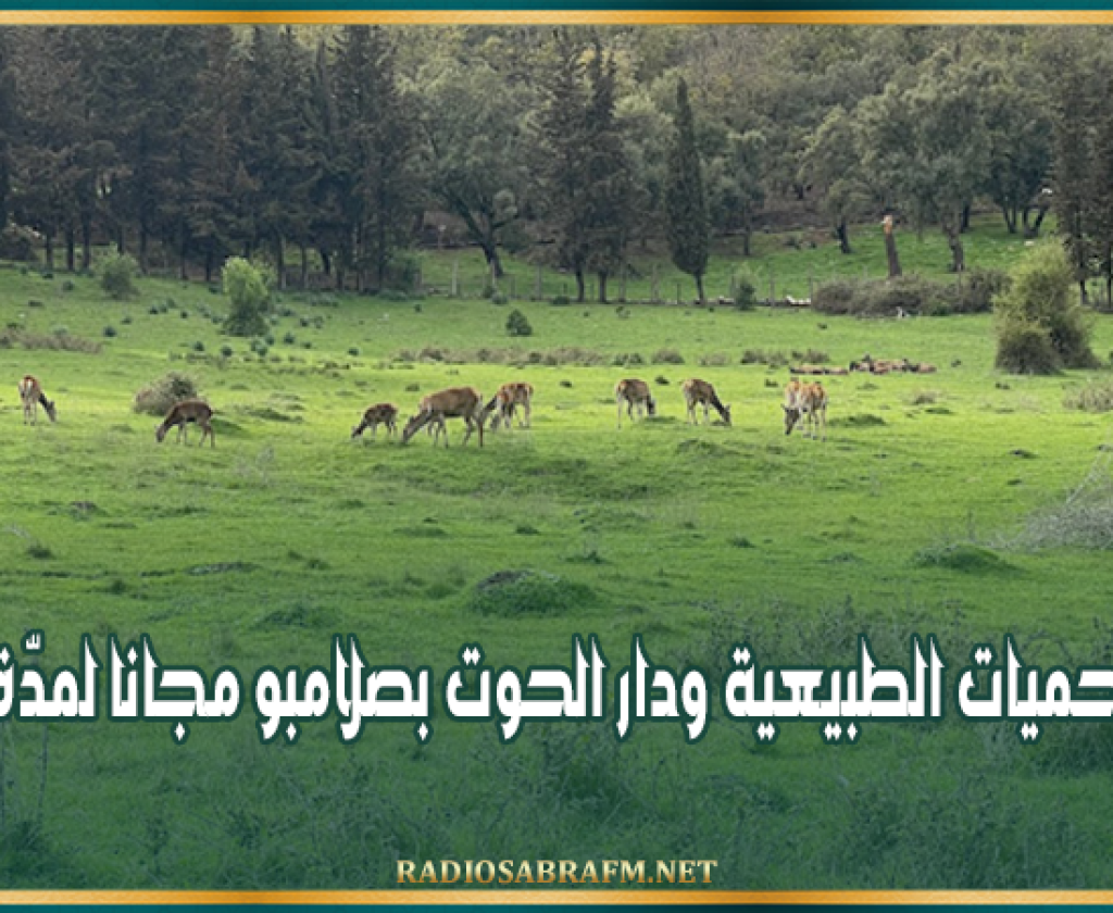 بداية من الغد: فتح المحميات الطبيعية ودار الحوت بصلامبو مجانا لمدّة أسبوع
