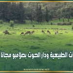 بداية من الغد: فتح المحميات الطبيعية ودار الحوت بصلامبو مجانا لمدّة أسبوع