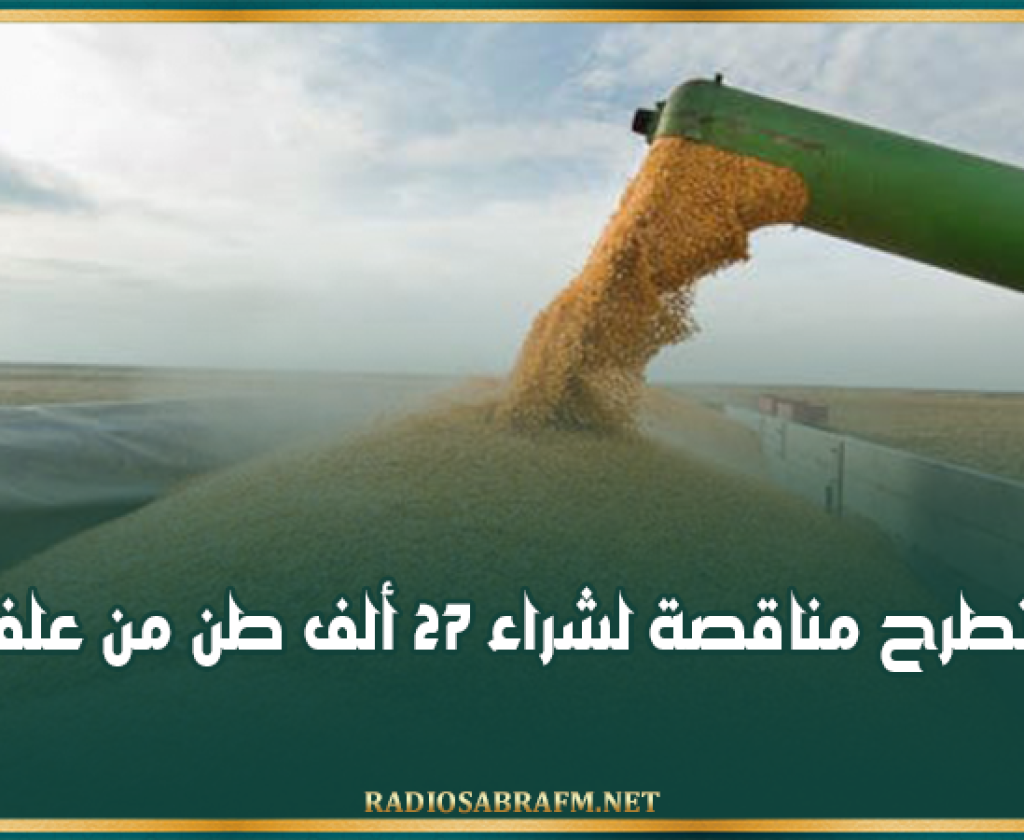 تونس تطرح مناقصة لشراء 27 ألف طن من علف الذرة