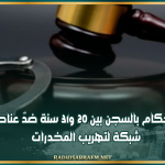 أحكام بالسجن بين 20 و31 سنة ضدّ عناصر شبكة دولية لتهريب المخدرات