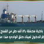 باخرة محمّلة بـ27 ألف طن من القمح تنتظر الدخول لميناء حلق الوادي منذ 1 ماي