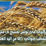 الزراعات الكبرى في تونس تمسح 1,6 مليون هكتار وتستقطب حوالي 50% من اليد العاملة