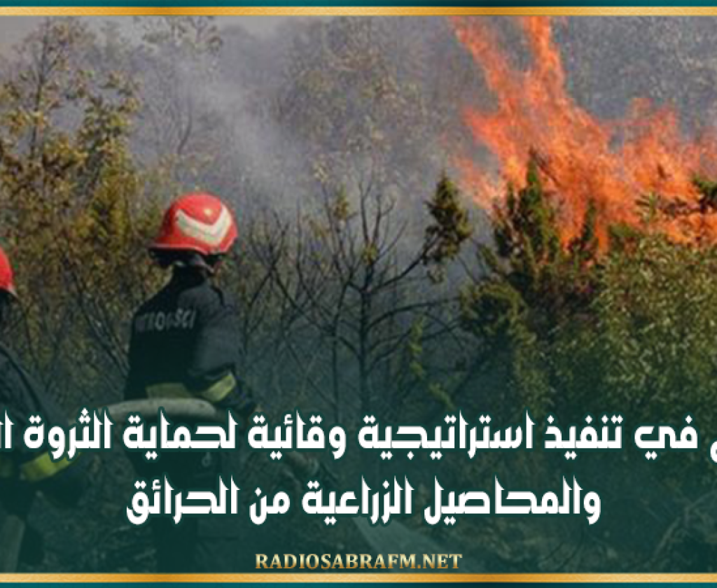 وزارة الفلاحة : الشروع في تنفيذ استراتيجية وقائية لحماية الثروة الغابية والمحاصيل الزراعية من الحرائق