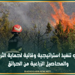 وزارة الفلاحة : الشروع في تنفيذ استراتيجية وقائية لحماية الثروة الغابية والمحاصيل الزراعية من الحرائق