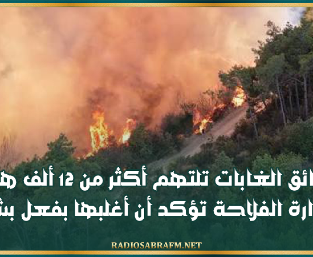 حرائق الغابات تلتهم أكثر من 12 ألف هكتار.. ووزارة الفلاحة تؤكد أن أغلبها بفعل بشري