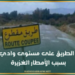 جندوبة: انقطاع الطريق على مستوى وادي الرغاي بسبب الأمطار الغزيرة