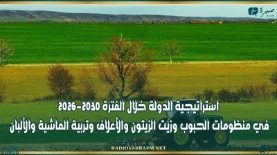 استراتيجية الدولة خلال الفترة 2026-2030 في منظومات الحبوب وزيت الزيتون والأعلاف وتربية الماشية والألبان