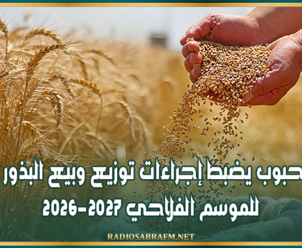ديوان الحبوب يضبط إجراءات توزيع وبيع البذور الممتازة للموسم الفلاحي 2026-2027