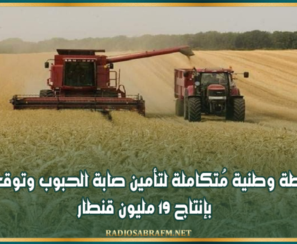 خطة وطنية مُتكاملة لتأمين صابة الحبوب وتوقعات بإنتاج 19 مليون قنطار