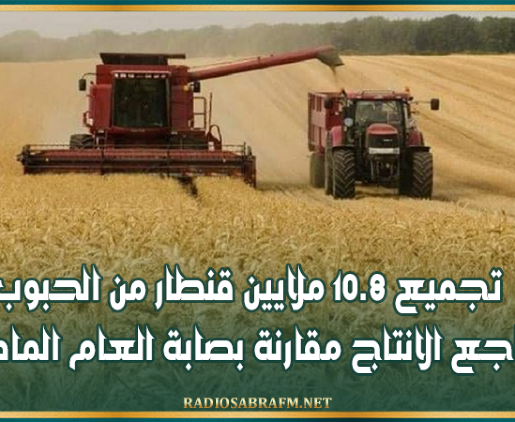 تجميع 10.8 ملايين قنطار من الحبوب وتراجع الانتاج مقارنة بصابة العام الماضي