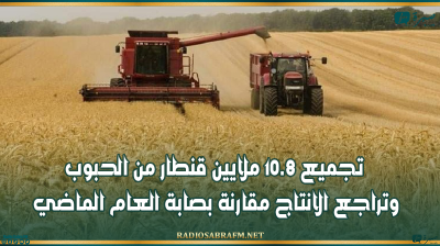 تجميع 10.8 ملايين قنطار من الحبوب وتراجع الانتاج مقارنة بصابة العام الماضي