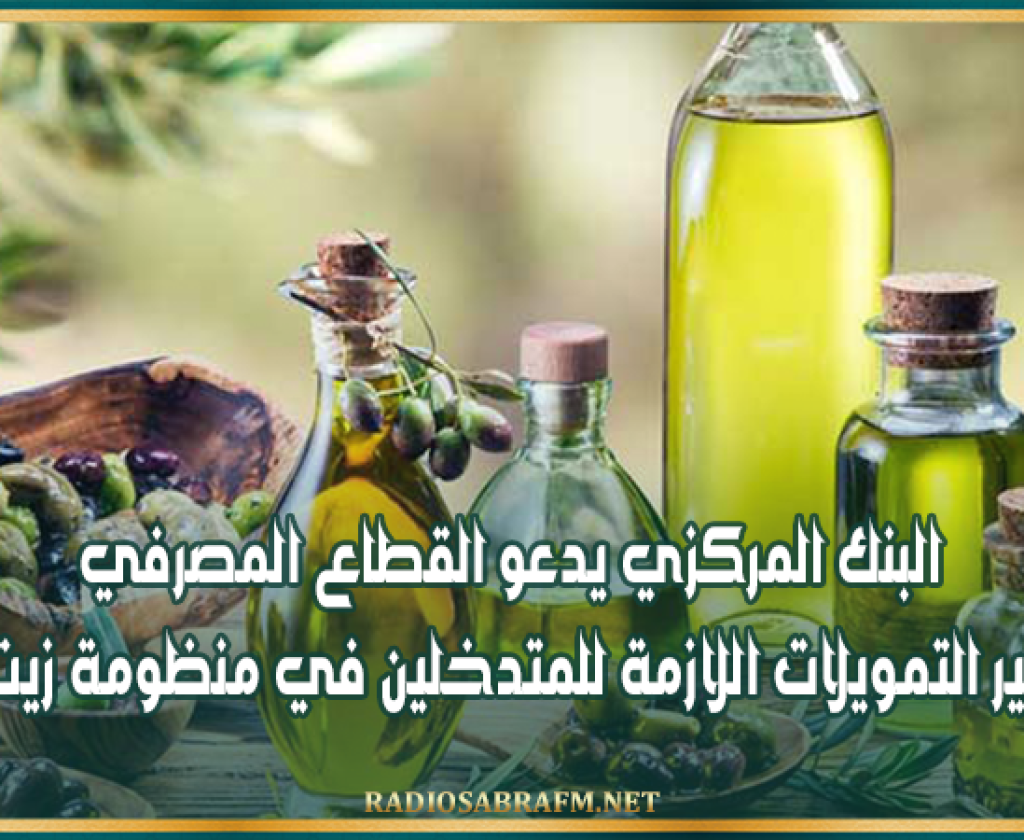 البنك المركزي يدعو القطاع المصرفي إلى توفير التمويلات اللازمة للمتدخلين في منظومة زيت الزيتون
