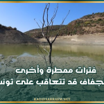 خبير في المناخ يحذّر: فترات ممطرة وأخرى من الجفاف قد تتعاقب على تونس