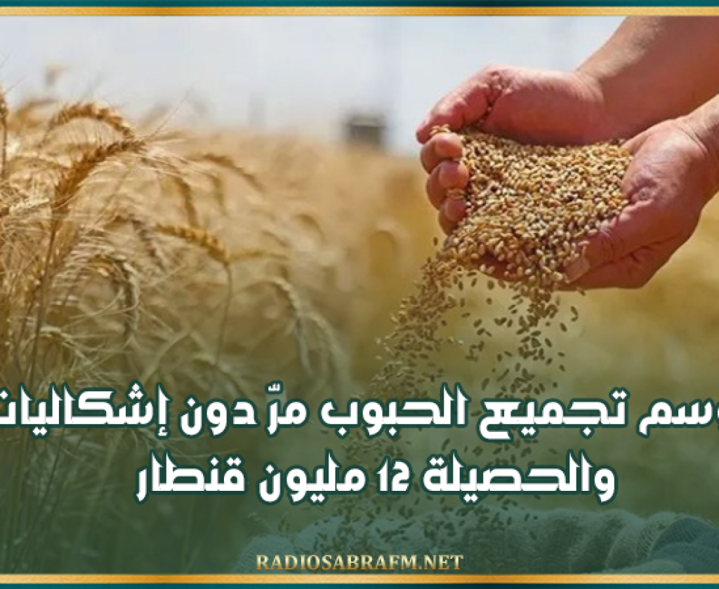 وزارة الفلاحة: موسم تجميع الحبوب مرّ دون إشكاليات والحصيلة 12 مليون قنطار