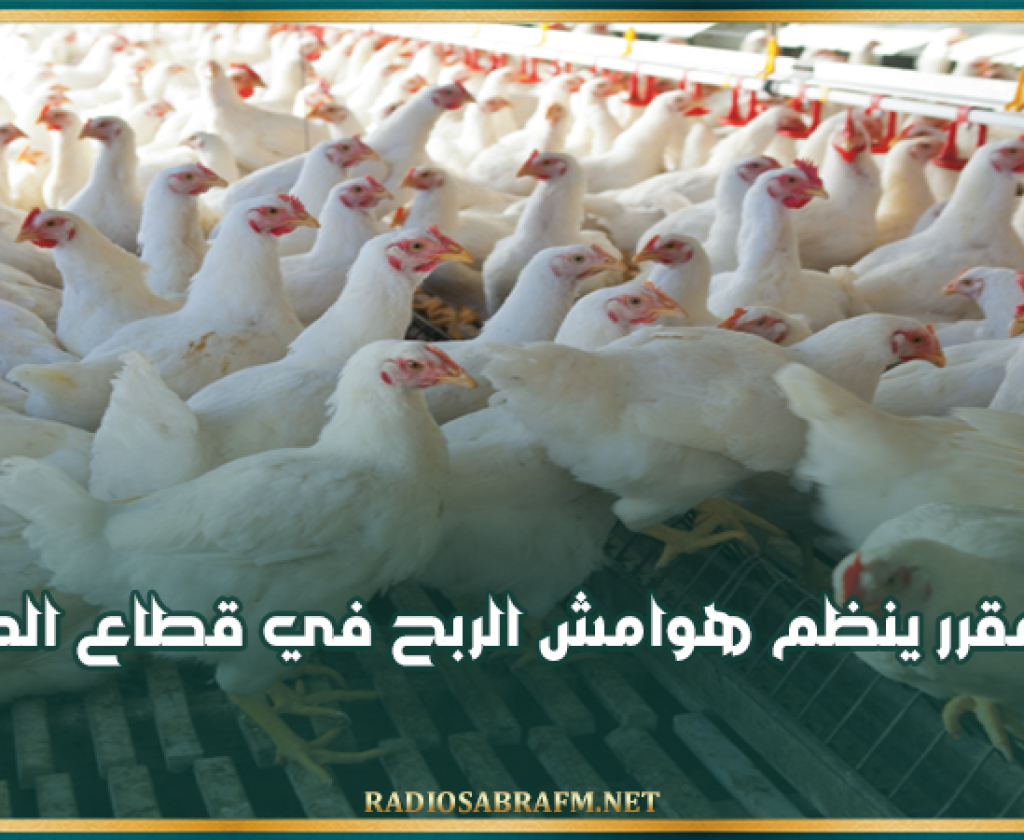 غدا..إصدار مقرر ينظم هوامش الربح في قطاع الدواجن