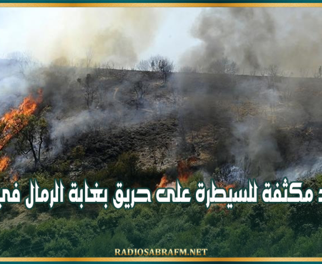 جهود مكثفة للسيطرة على حريق بغابة الرمال في بنزرت