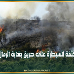 جهود مكثفة للسيطرة على حريق بغابة الرمال في بنزرت
