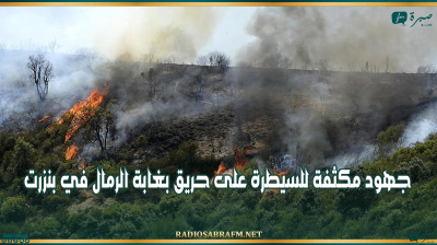 جهود مكثفة للسيطرة على حريق بغابة الرمال في بنزرت