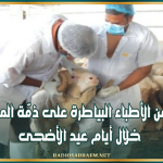 فريق من الأطباء البياطرة على ذمّة المواطنين خلال أيام عيد الأضحى