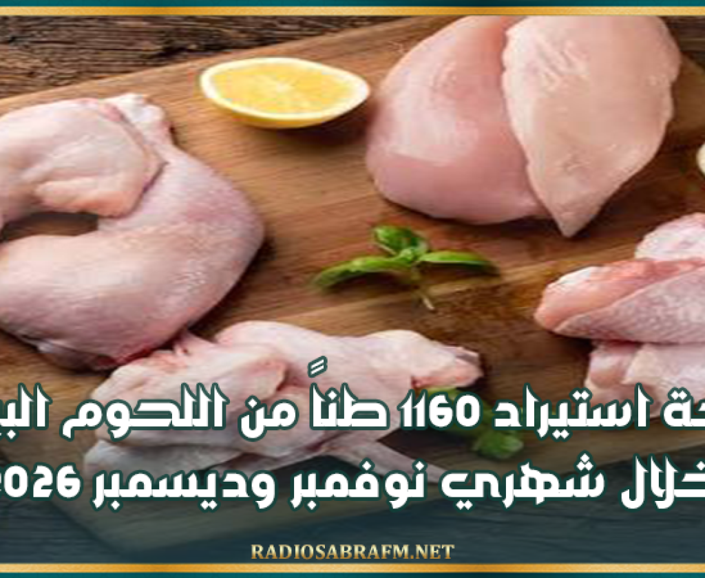 غرفة تجار الدواجن: برمجة استيراد 1160 طناً من اللحوم البيضاء خلال شهري نوفمبر وديسمبر 2026