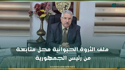 مندوب الفلاحة بالقيروان: ملف الثروة الحيوانية محل متابعة من رئيس الجمهورية