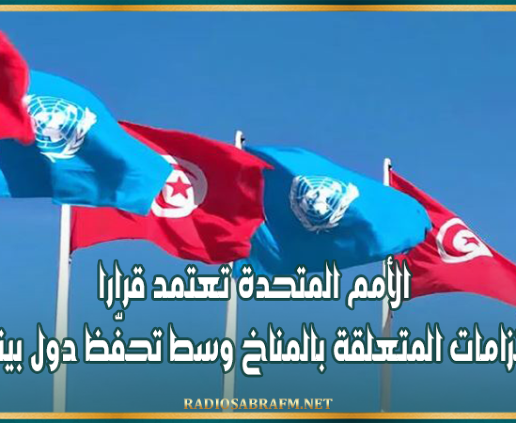 الأمم المتحدة تعتمد قرارا حول الالتزامات المتعلقة بالمناخ وسط تحفّظ دول بينها تونس