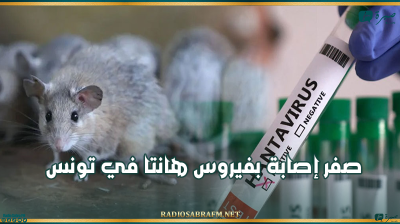وزارة الصحة: صفر إصابة بفيروس هانتا في تونس
