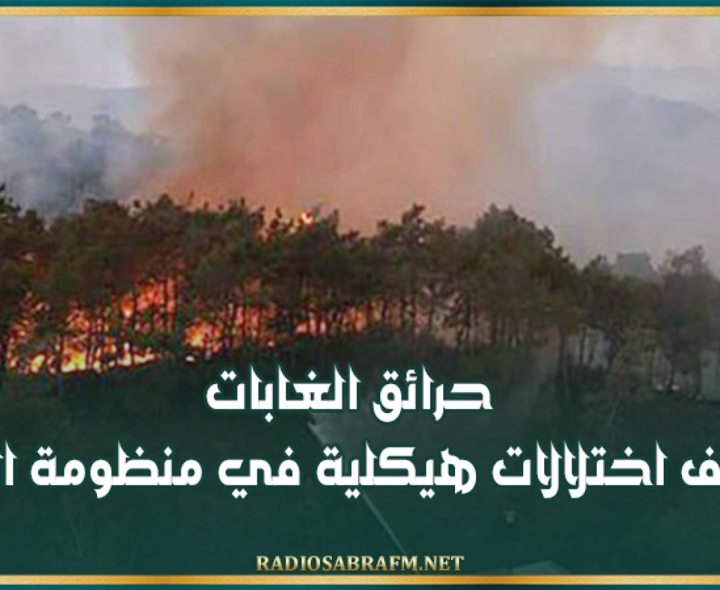 منتدى الحقوق الاقتصادية والاجتماعية: حرائق الغابات تكشف اختلالات هيكلية في منظومة الوقاية