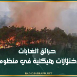 المنتدى للحقوق الاقتصادية والاجتماعية: حرائق الغابات تكشف اختلالات هيكلية في منظومة الوقاية