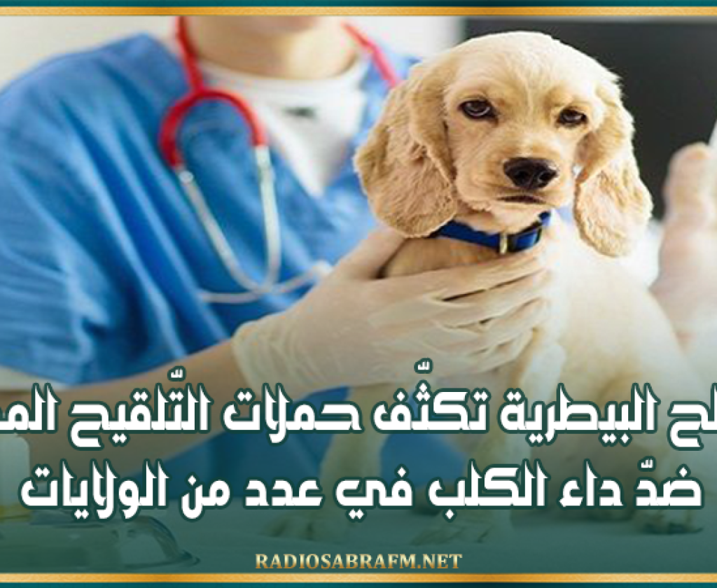 المصالح البيطرية تكثّف حملات التّلقيح المجاني ضدّ داء الكلب في عدد من الولايات
