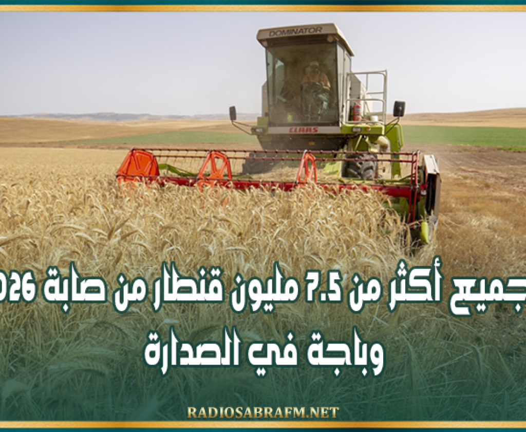 ديوان الحبوب: تجميع أكثر من 7.5 مليون قنطار من صابة 2026 وباجة في الصدارة