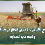 ديوان الحبوب: تجميع أكثر من 7.5 مليون قنطار من صابة 2026 وباجة في الصدارة
