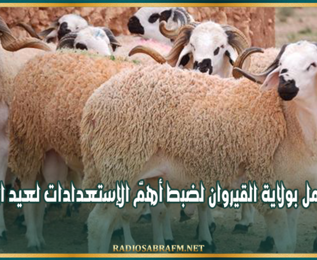 جلسة عمل بولاية القيروان لضبط أهمّ الإستعدادات لعيد الأضحى