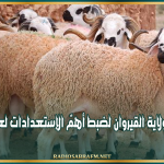 جلسة عمل بولاية القيروان لضبط أهمّ الإستعدادات لعيد الأضحى